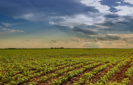 Pesquisa do Goiás Verde aponta que agro goiano pode ser sustentável